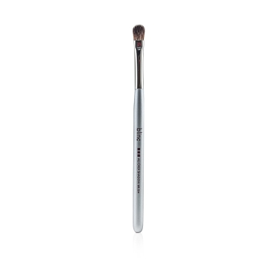 Blinc All Over Shadow Brush Picture Color