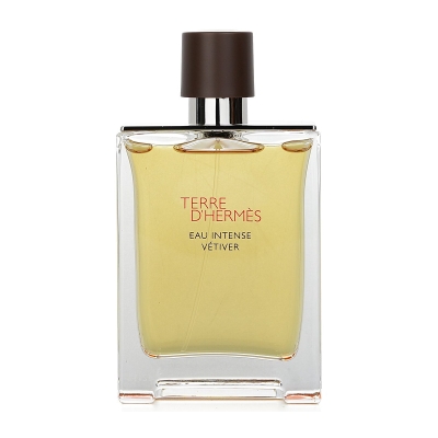Hermes 떼르 데르메스 인텐스 베티버 오드 퍼퓸 스프레이 100ml/3.3oz